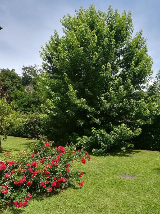 B&B Terra Del Sole 발몬토네 외부 사진