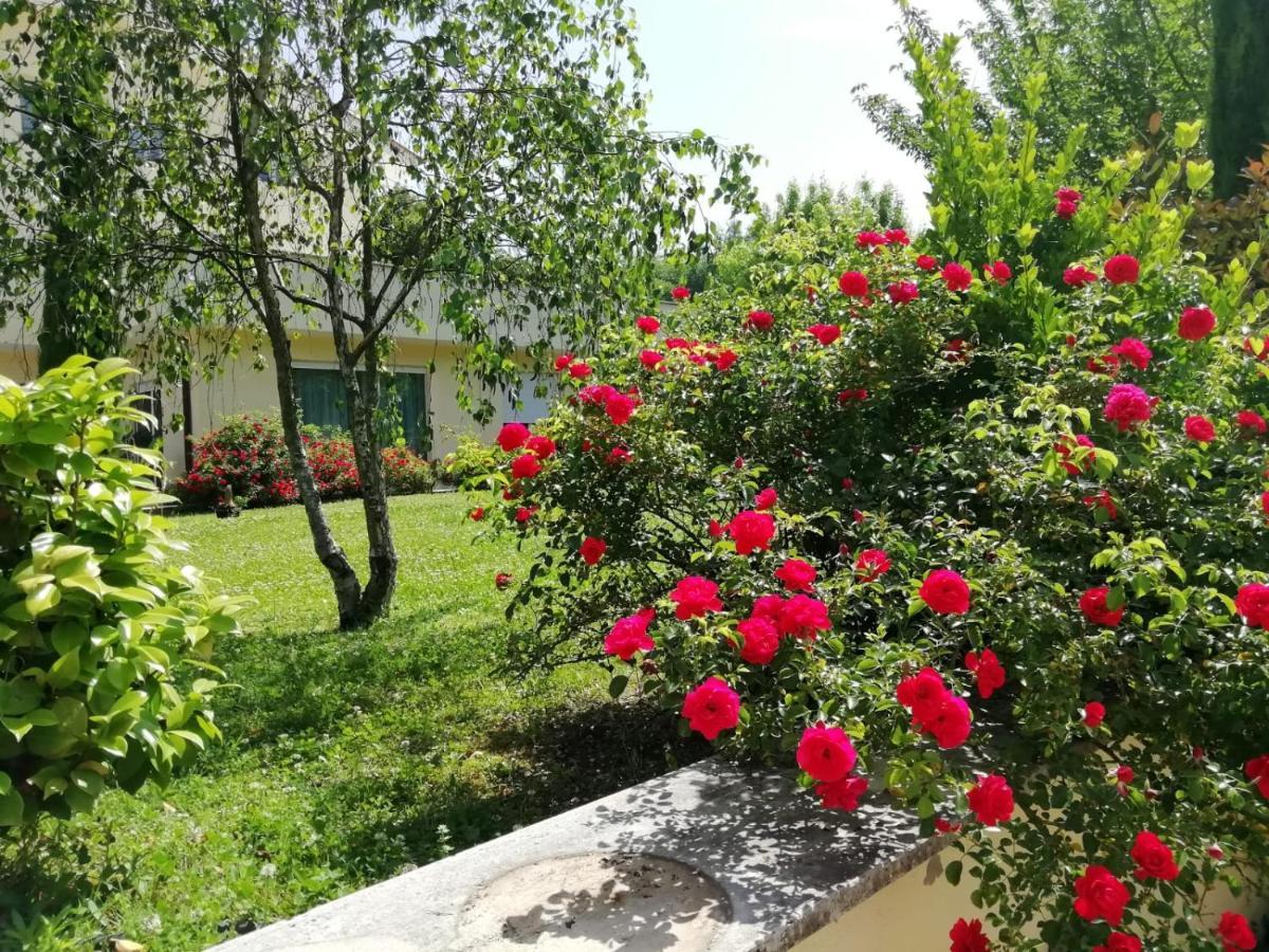 B&B Terra Del Sole 발몬토네 외부 사진