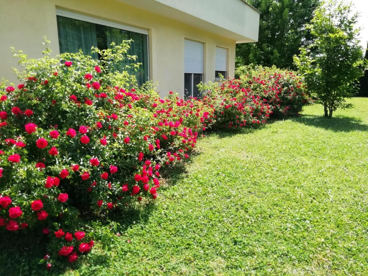 B&B Terra Del Sole 발몬토네 외부 사진